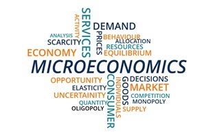 Microeconomics Assignment Help